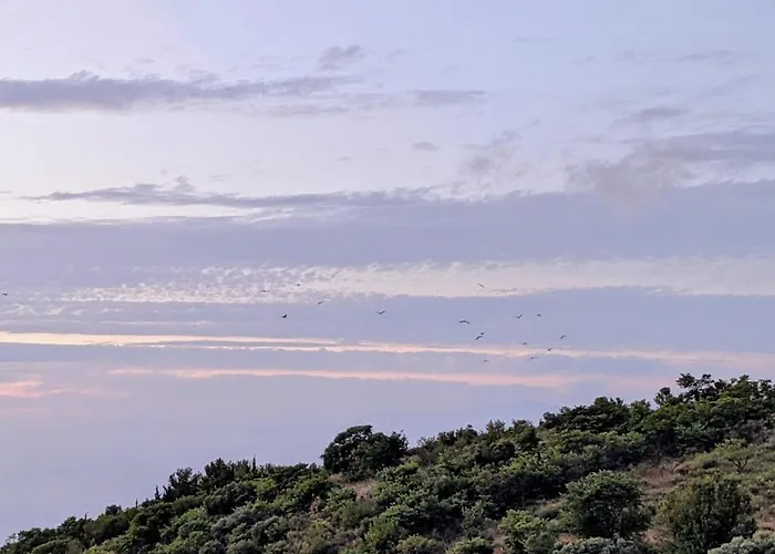 Anemar Lefkada
